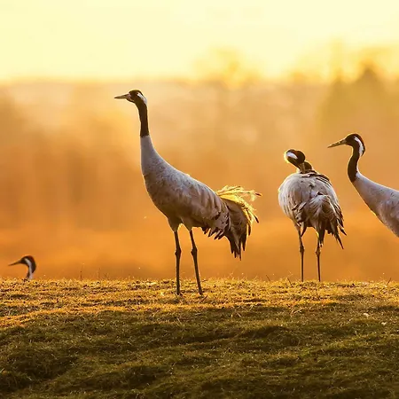 Ferienapartment Abendsonne Mit Direktem Seeblick Und Terasse דירה *