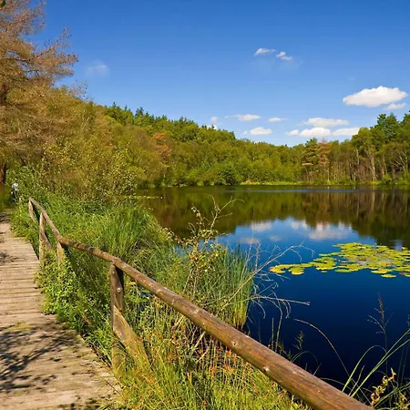 Ferienapartment Abendsonne Mit Direktem Seeblick Und Terasse דירה
